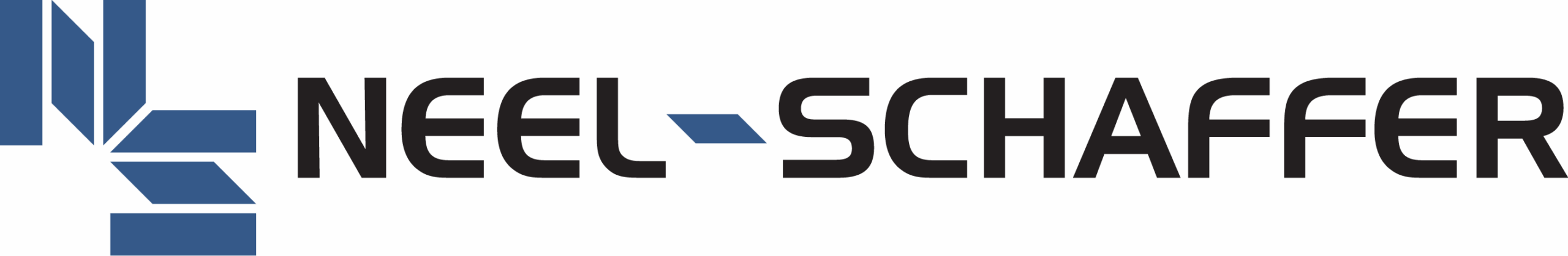 NS_Horizontal_no_slogan_2color